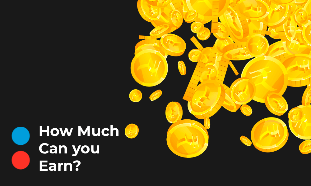 How much can you earn