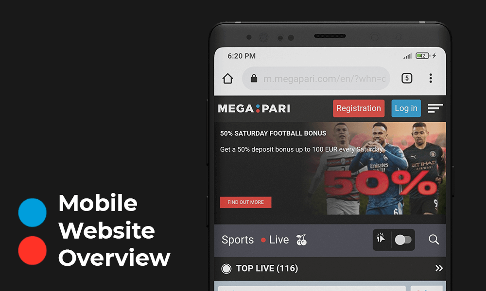 Megapari Website Overview